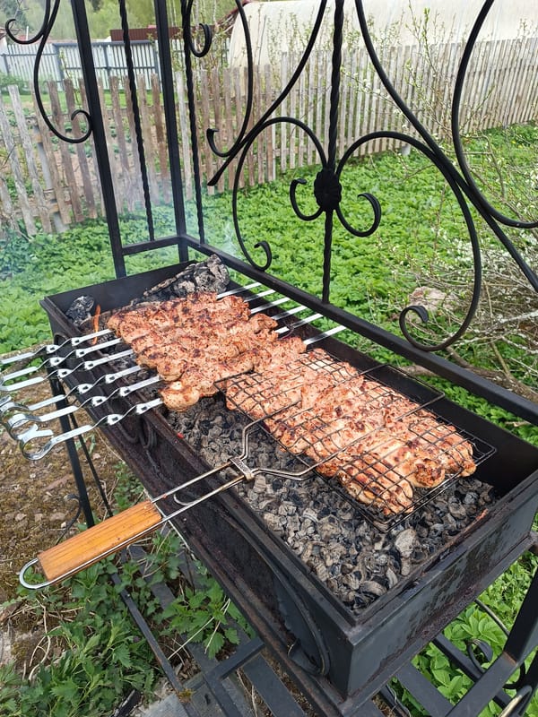 Outdoor barbecue grill spotted in Krasnoarmeysk backyard setting