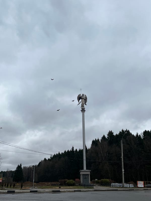 Birds circle angel monument in Podolsk park