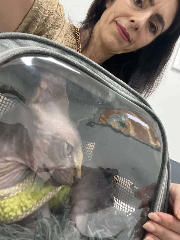 Woman carries Sphynx cat in carrier in Wasserliesch
