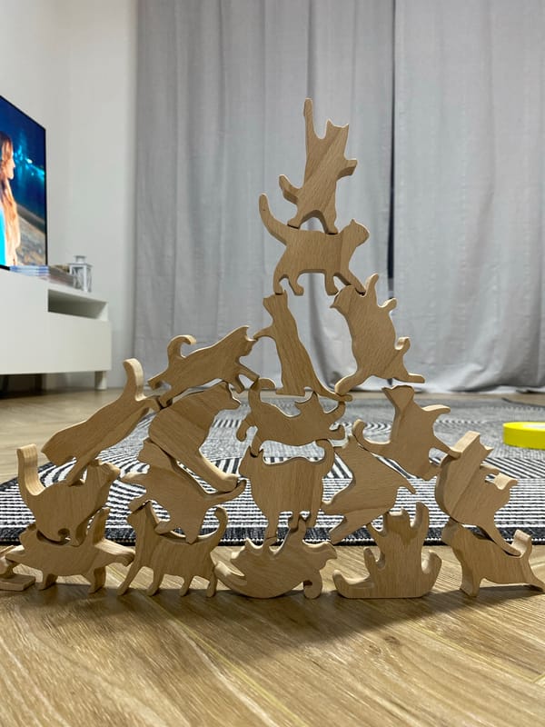 Child plays with wooden cat puzzles in Izhevsk home