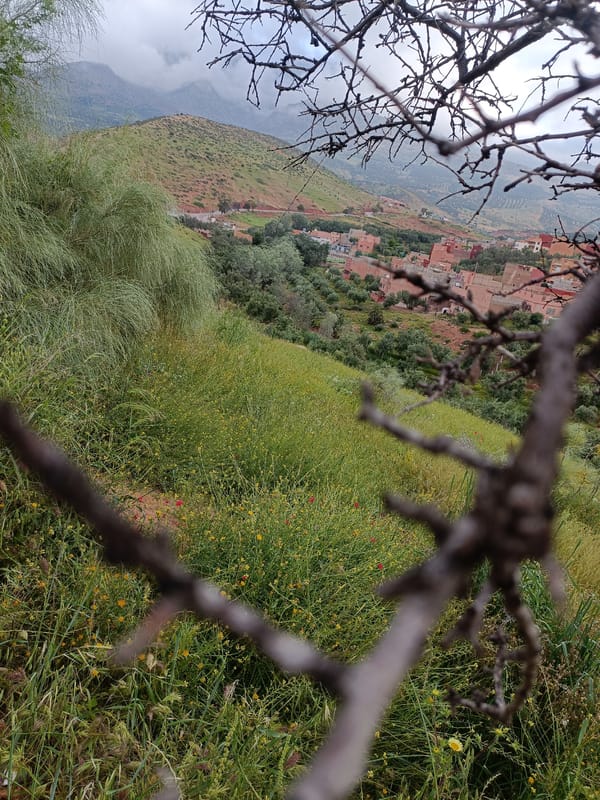 Morning journey through rural Morocco countryside documented by traveler