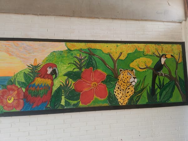 Tourist documents local mural collection in Venezuelan coastal town