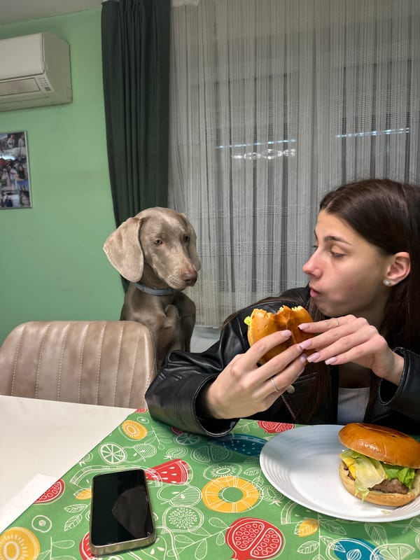 Woman shares hamburger moment with dog in Plovdiv restaurant
