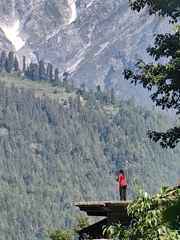 Morning documentation of natural Himalayan village life in Vashisht
