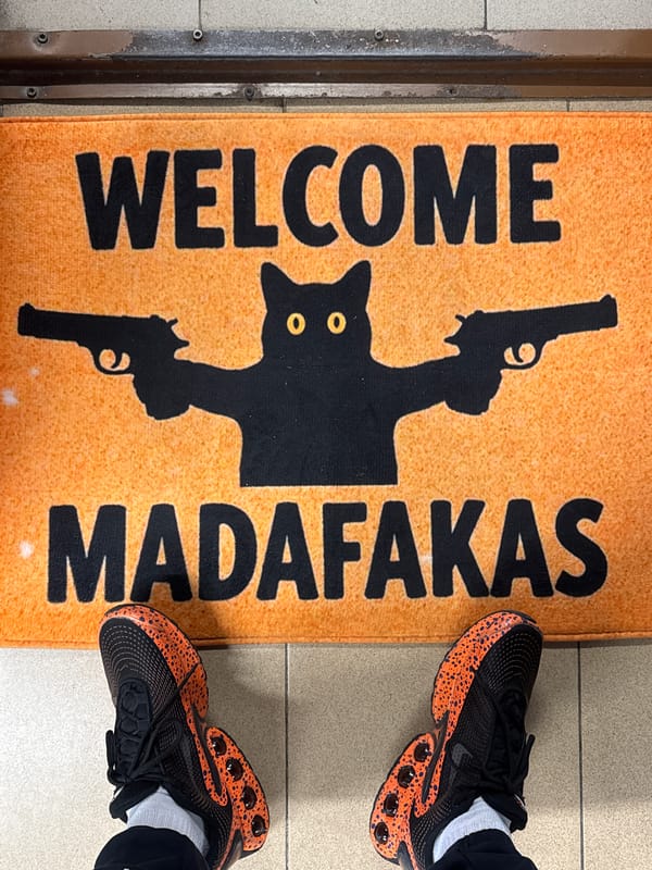 Profane doormat with armed cat design spotted in Bulgaria