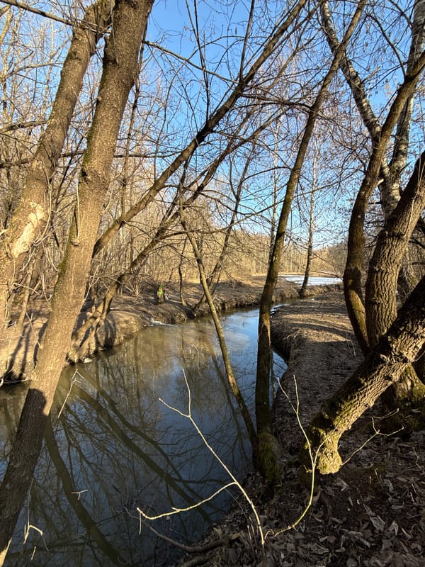 Quiet afternoon scenes captured in Reutov suburban area