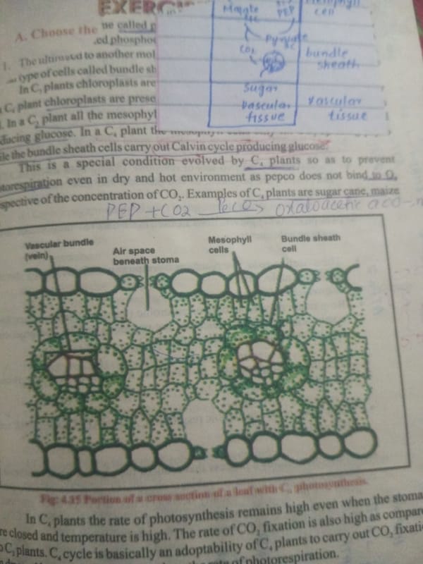 Biology study materials photographed in Mansehra, Pakistan
