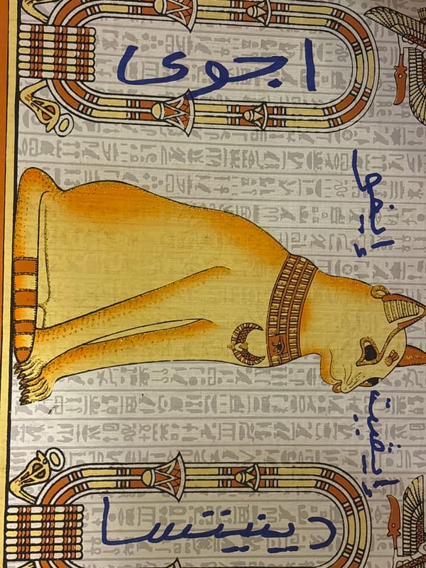 Sofia resident documents eclectic collection of art and memorabilia