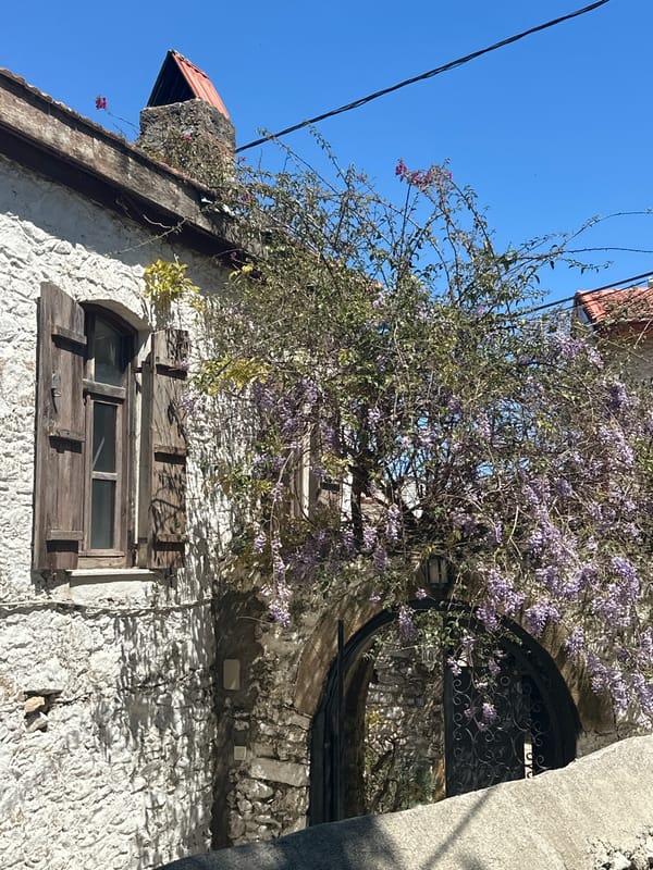 Traditional whitewashed building with flowering vines documented in Datça