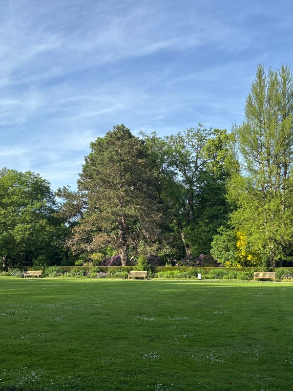 Park scene with trees, flowers, benches documented Thursday afternoon