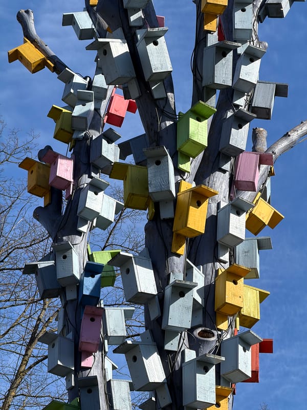 Morning scenes captured around Riga's Nativity Cathedral and art installations