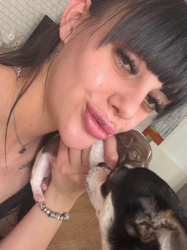 Newborn puppy day in Plovdiv, Bulgaria