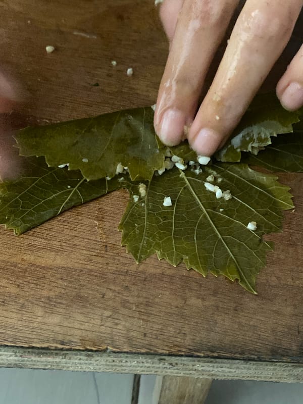 Damaged buildings and cooking scenes captured in Khan Yunis