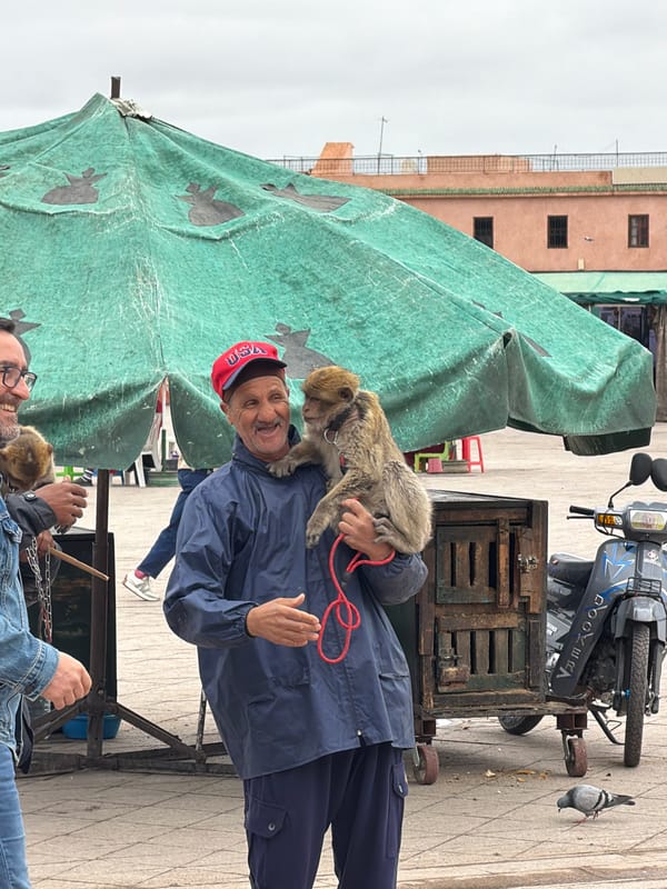 Tourists pose with performing monkeys near Marrakesh mosque