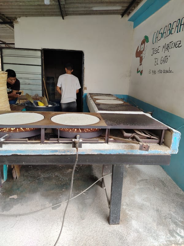 Traditional cassava bread production witnessed in Campo Carabobo facility