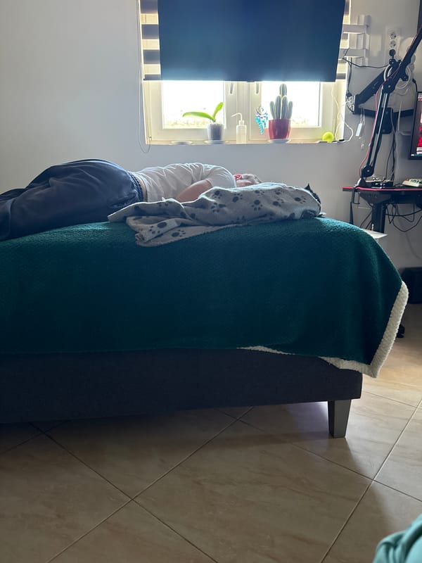 Person observed near green couch with paw print blanket