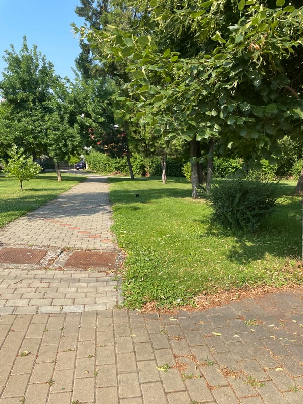 Summer morning stroll through Iași parks and city streets