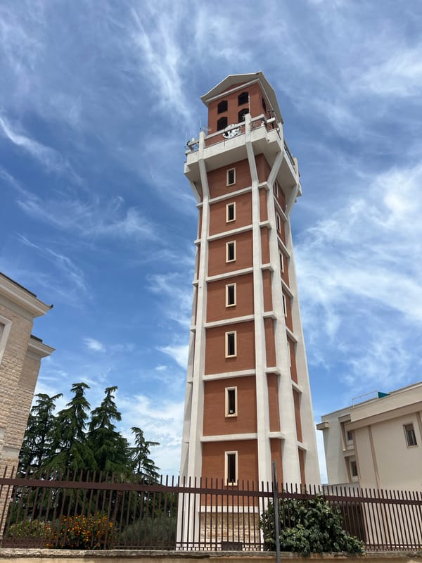 Wedding cars and rabbits spotted around Bitonto, Italy