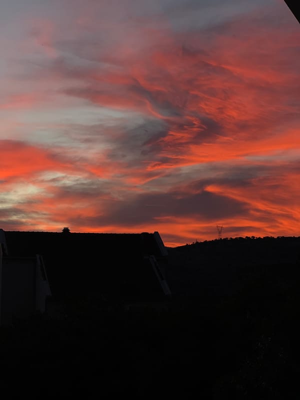 Sunset over Podgorica with curious cat on wall