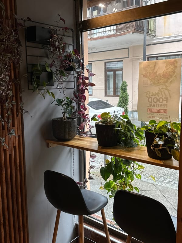 Casual cafe moments documented in Batumi during rainy morning