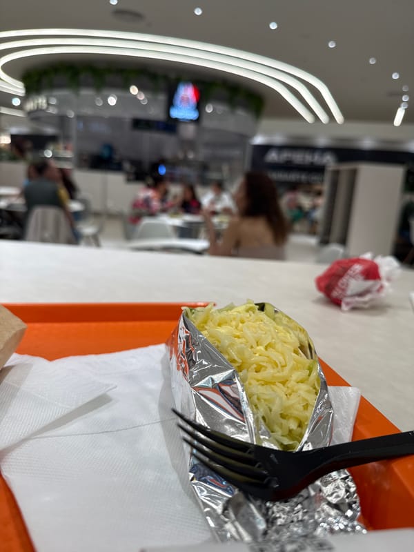 Cheese-topped meal documented on orange tray in Sofia