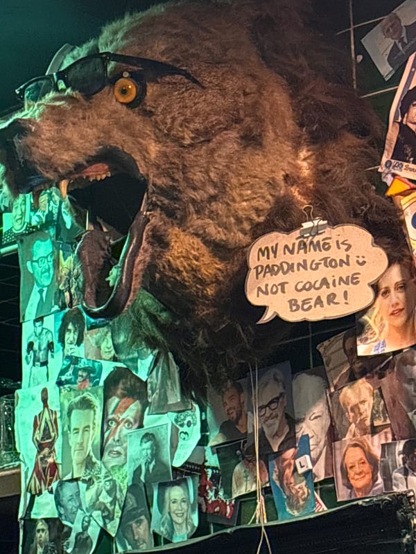 Friends gather at alien-themed London pub for evening drinks