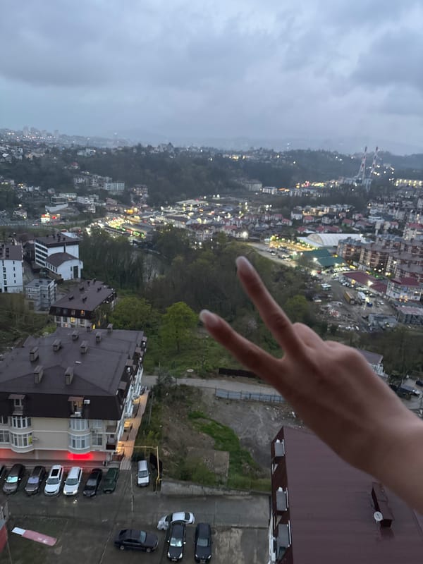 Woman documents cloudy day with terrier in Sochi