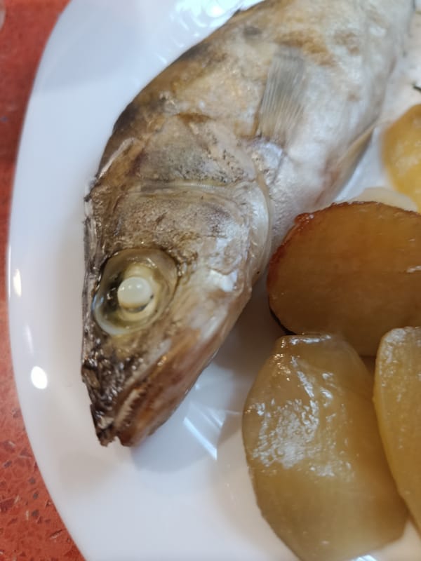 Fish dinner with Chianti at an orange table in Moscow