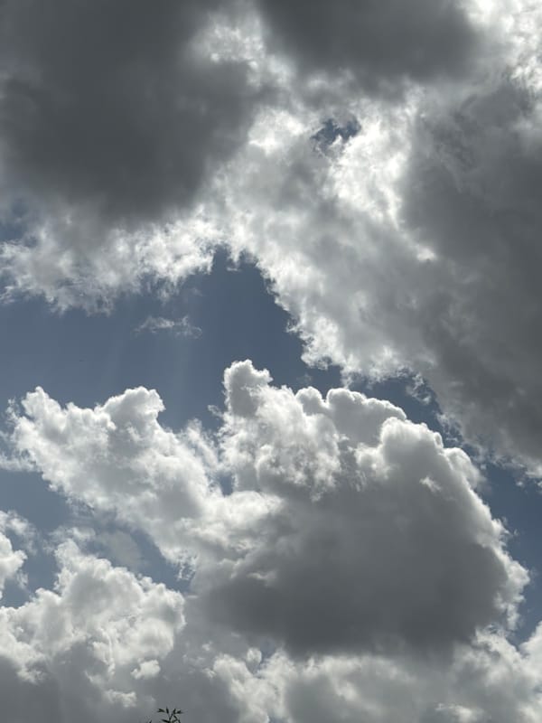Mixed cumulus clouds observed over Sofia skies