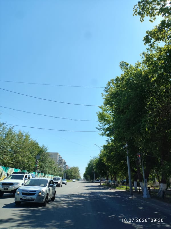 Driving through Pavlodar's tree-lined residential streets
