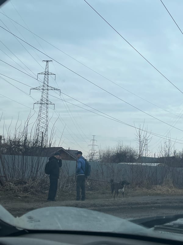 Morning life glimpses captured across Chaykovsky, Russia