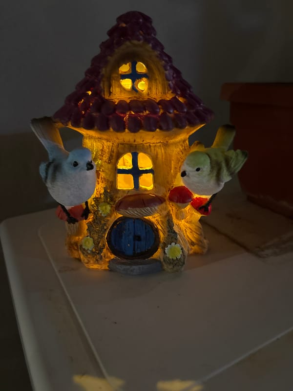 Birds perch on illuminated fairy house in Bulgarian village