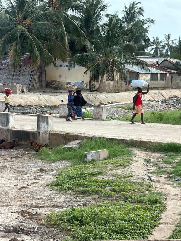 Daily life continues in Pemba: pedestrians, grazing goats
