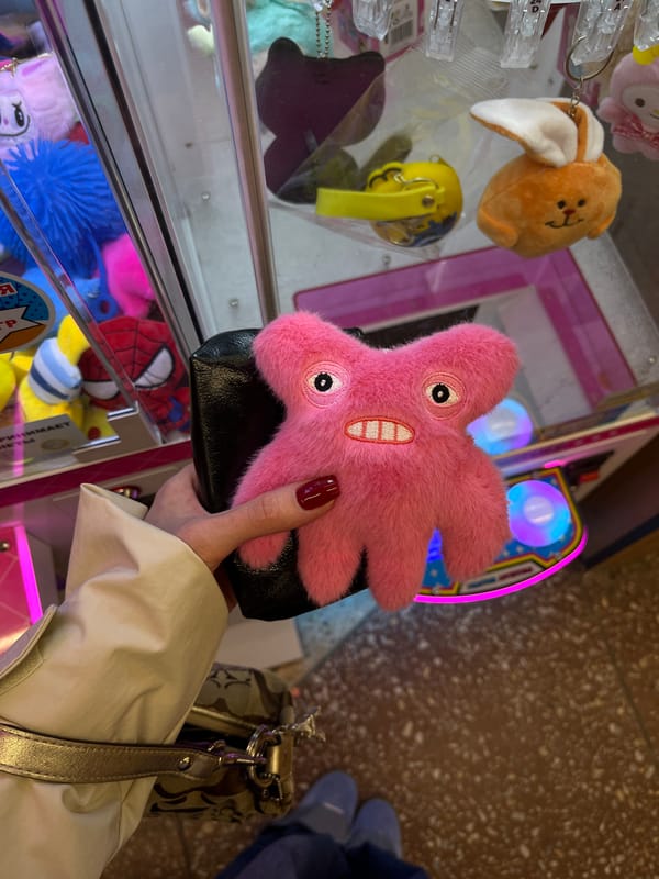 Person plays claw machine game at Hrodna arcade