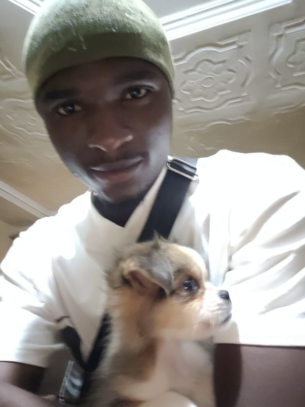 Community gathering with puppy in Bukuru, Nigeria
