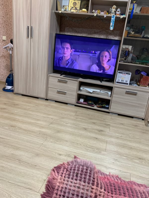Cat rests peacefully on couch in Vyatskiye Polyany home