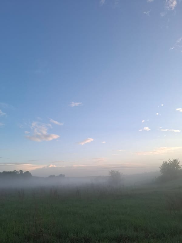 Afternoon fog blankets rural fields in Khlevnoye, Russia