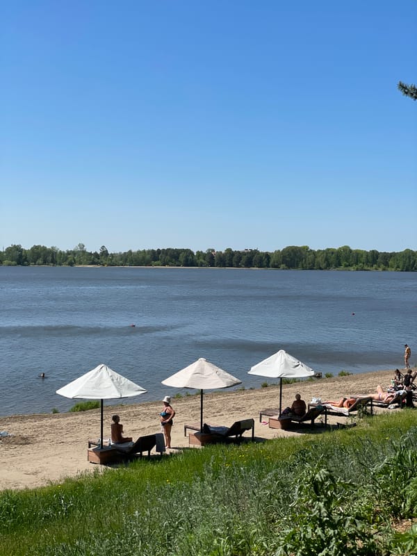 Dog walker enjoys sunny morning beach visit in Zheleznogorsk