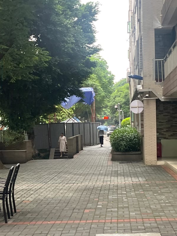Witness documents everyday scenes across Yuzhong District, China