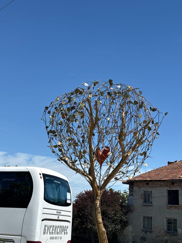 Photographer captures street scenes and landmarks in Lukovit, Bulgaria