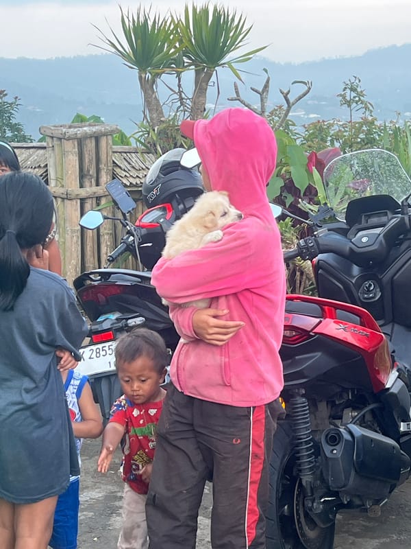 Small crowd gathers with puppy in Kintamani, Indonesia