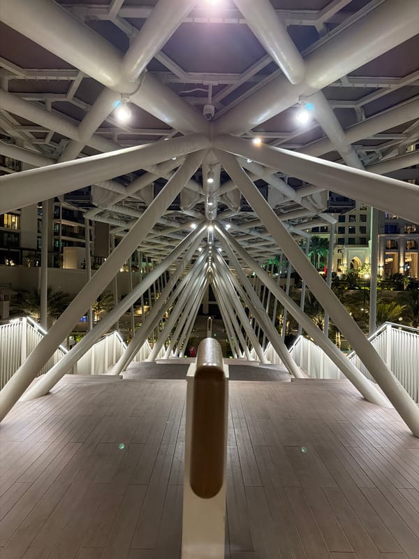 Witness captures upward view of Dubai architectural structure framework