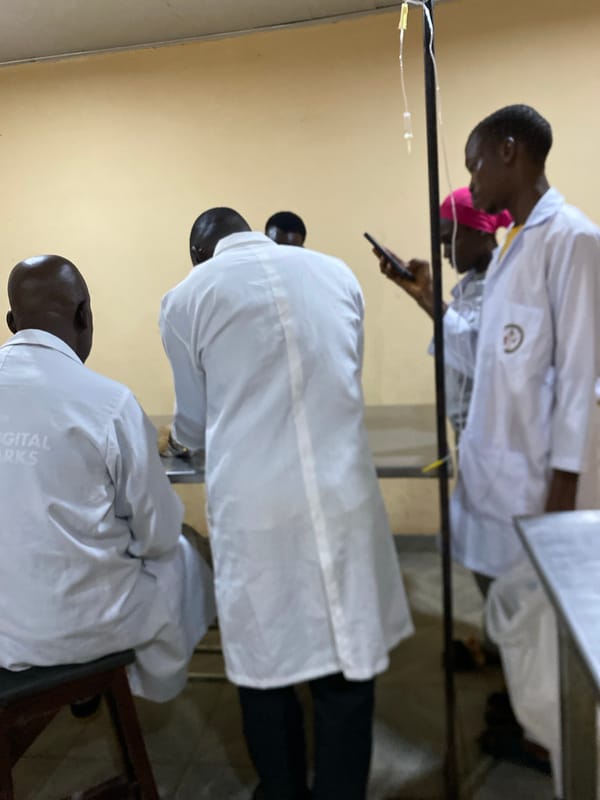 Veterinary clinic treats multiple dogs in Bukuru, Nigeria morning session