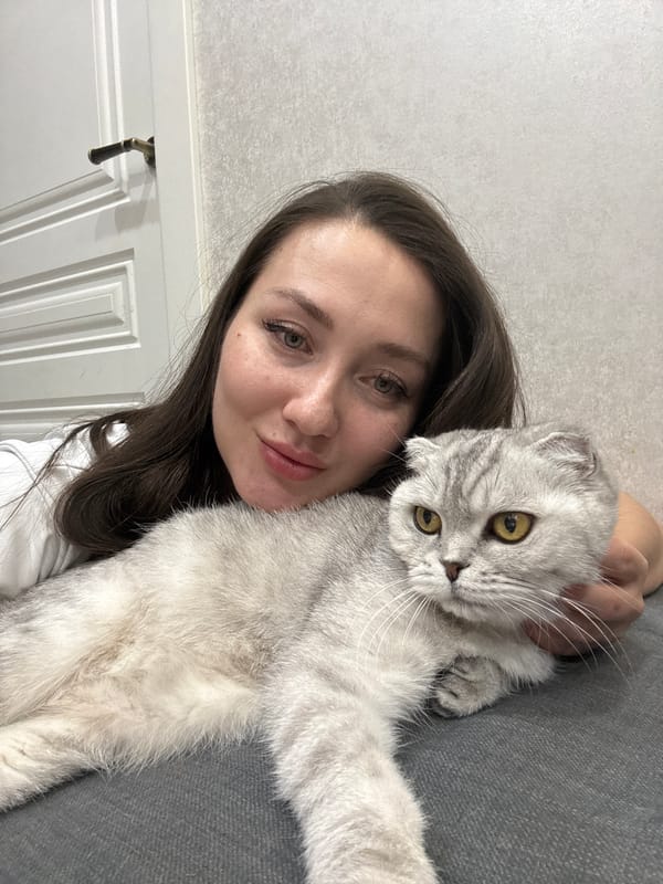 Woman poses with Scottish Fold cat in Cheboksary