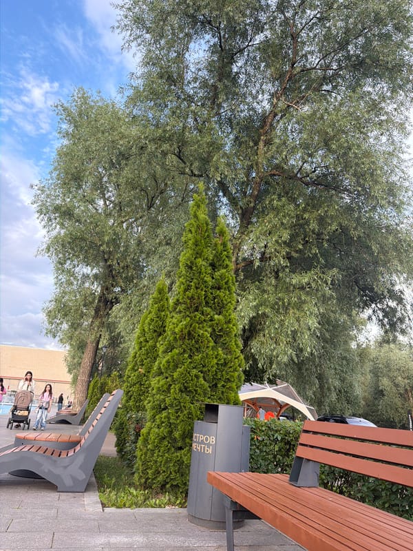Afternoon city loop: transit, plazas, fountains, and a castle