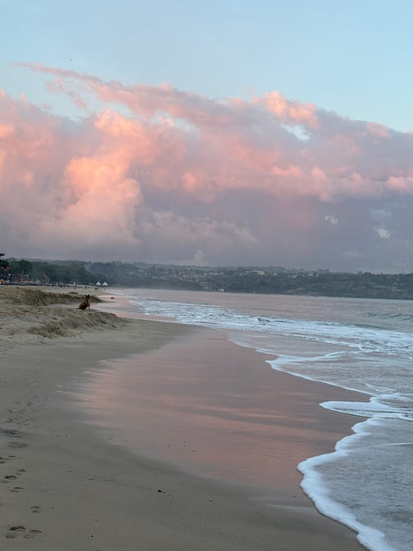 Kuta Beach at golden hour — boats, a stray dog, fading sky