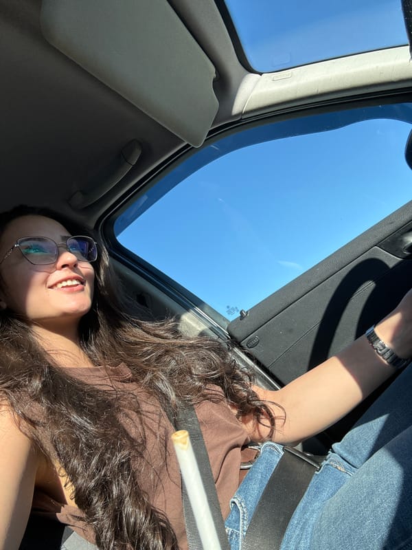Woman observed in car with open sunroof in Dyakovo