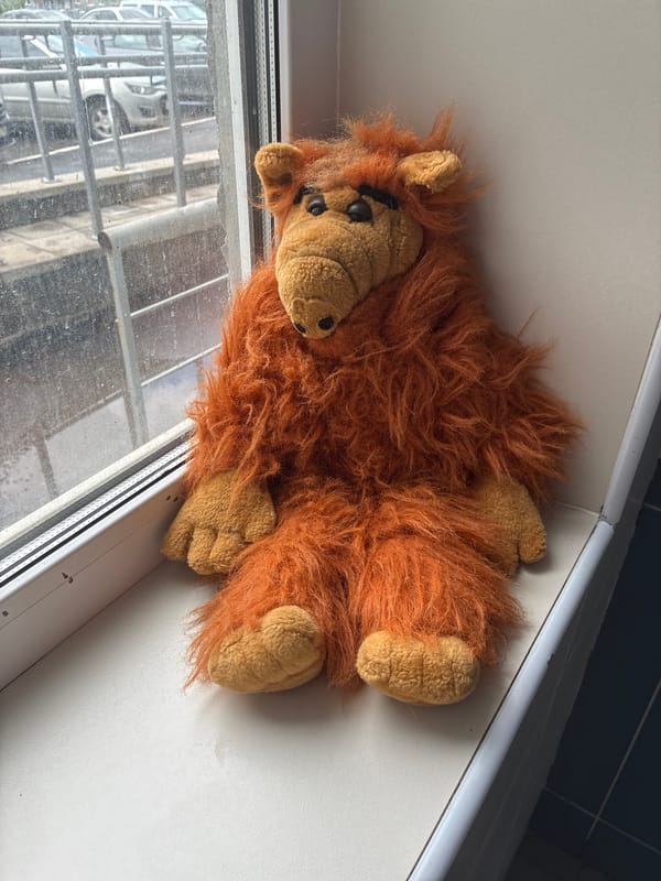 ALF toy on a windowsill, pigeon on pavement — Orenburg morning