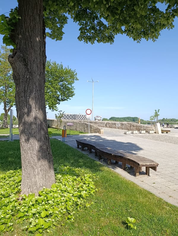 Morning documentation of park and library spaces in Svilengrad