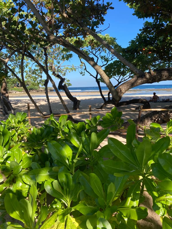 Morning coastal and waterside scenes documented by witness